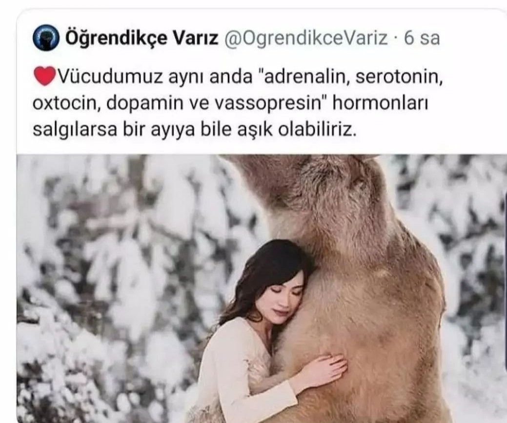 Bir kadın vucudu ayni anda Adrenalin Seratonin Oxtocin Dopamin ve Vessopresin salgilarsa Karşısina Ayı da çıksa aşık olabilirmiş Yani konu erkegin yakışıklı karizmatik Yada Zengin olmasiyla alakalı degilmis Olay tamamen Hormonel😅😅 #Persembe