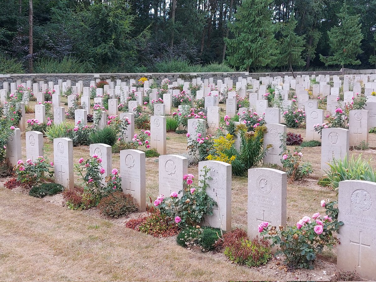 BattleTours's tweet photo. Becourt Cemetery yesterday.The roses were magnificent. #WW1 #somme https://t.co/ic0UjXcvUk