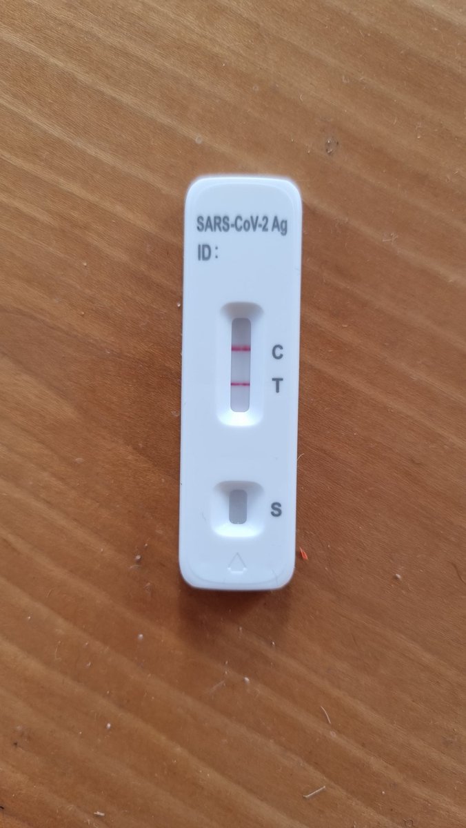 Ton Roosendaal (inactive)🔸 tweet media
