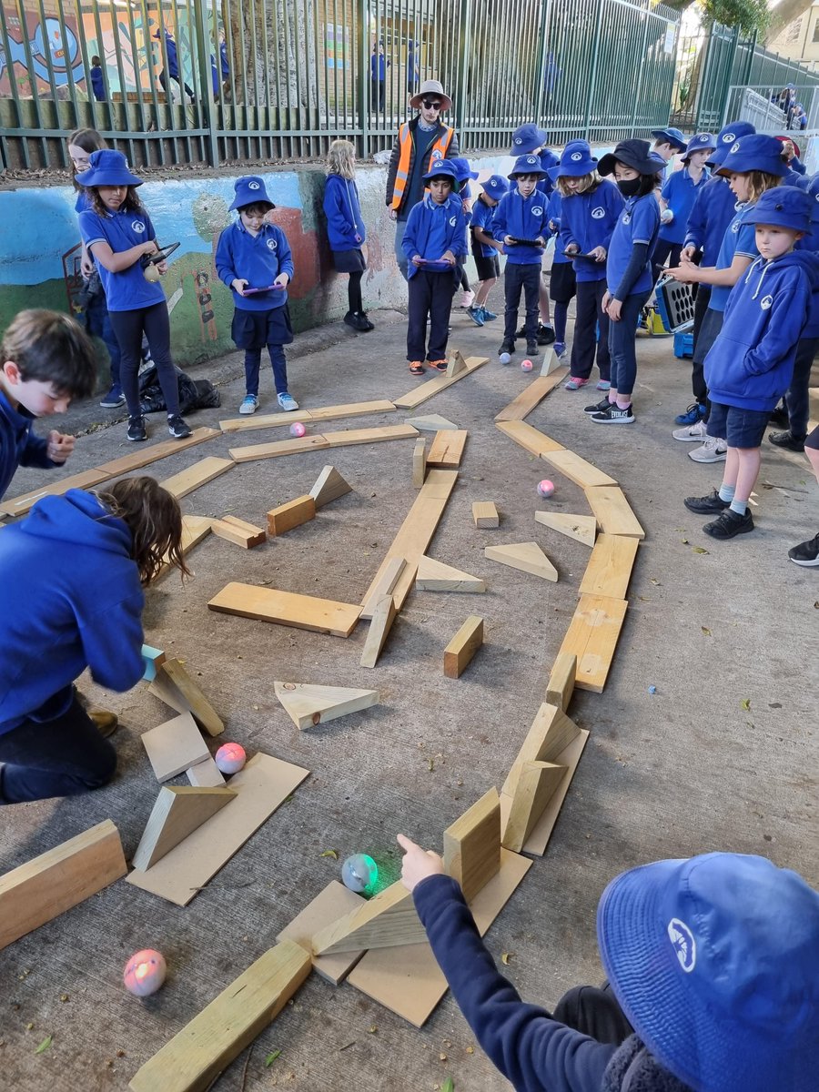 Newtown PS tweet media