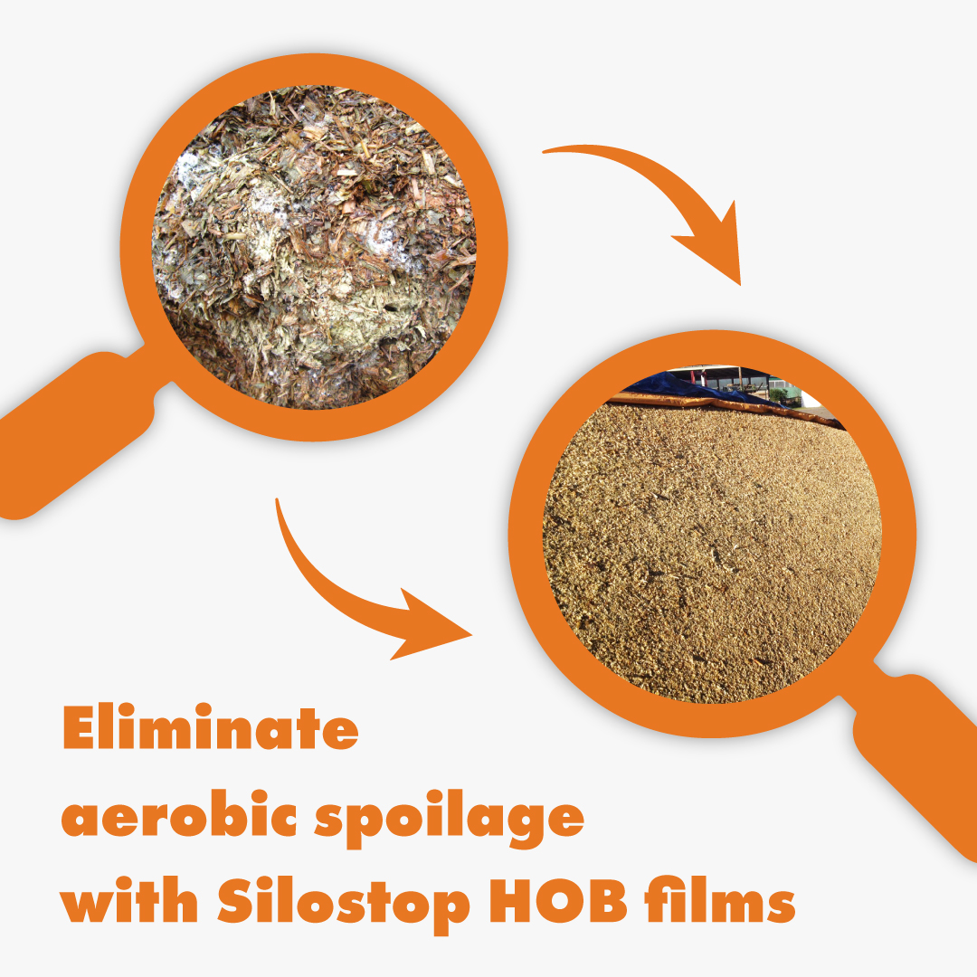 Silostop's tweet image. Are High Oxygen Barrier Films worth the investment? Given the current costs of growing silage crops, the answer is ABSOLUTELY! See why in this article
silostop.com/blogs/news/bri…