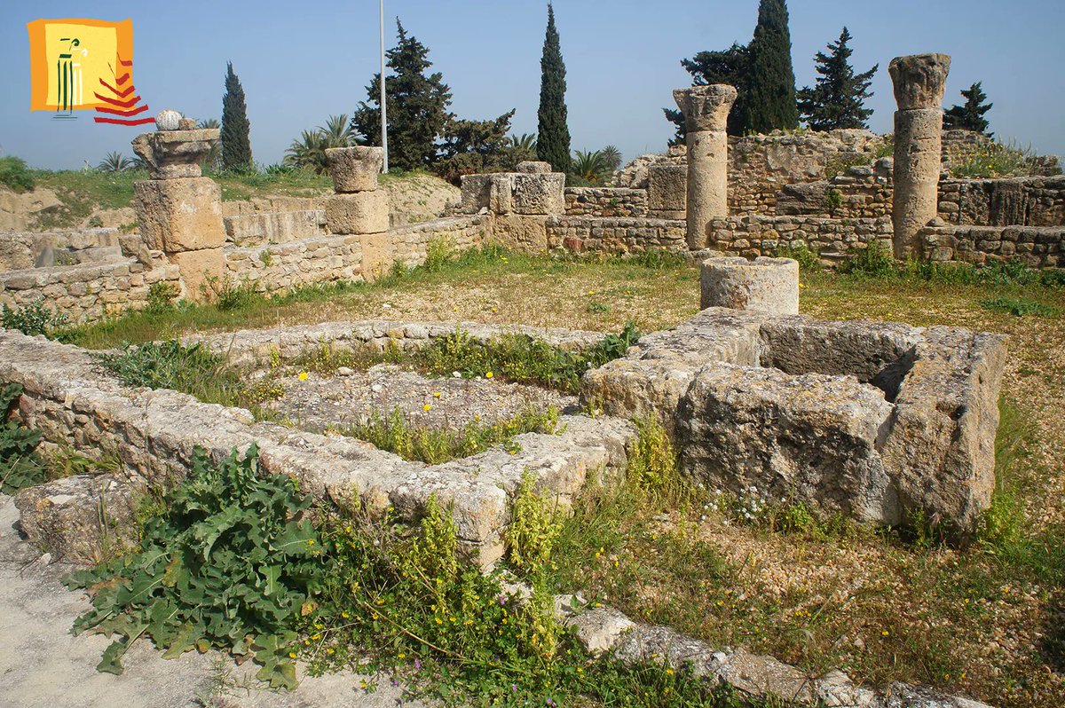 AMVPPC's tweet photo. 🔸Maison du Trésor (Utique - Bizerte)
Elle se situe à l'ouest de la Maison de la Cascade et occupe les lots 1 et 7 de I'Insula II.
#amvppc #patrimoine #utique https://t.co/vNZqqitFxT