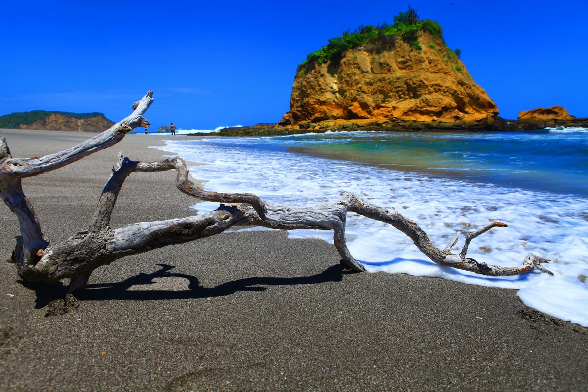 AmericasPartner's tweet image. A paradise for bird enthusiasts! Do your clients love birds and wildlife? Why not recommend that they visit Ecuador and The Galapagos Islands. 
For more information please contact fernanda@georeisen-ecuador.com 

#wildlife #birdwatching #geoboutiquetravel #equadorand…