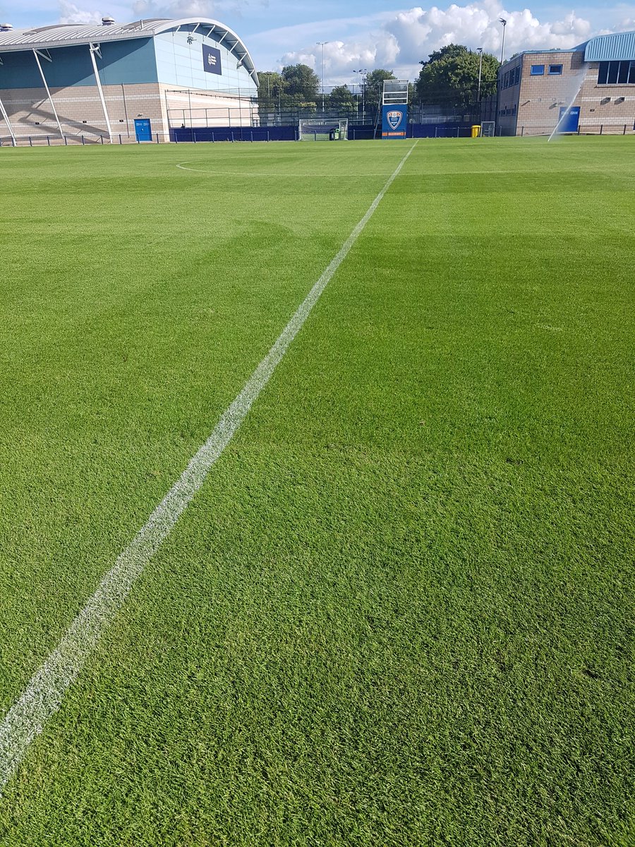 Cameron924M's tweet photo. The pitch isn't looking too bad ⚽️ https://t.co/wJJ0Aoj9CG
