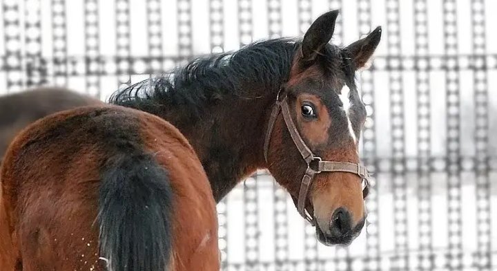 Нескучная Снегурочка 🇷🇺™ tweet media