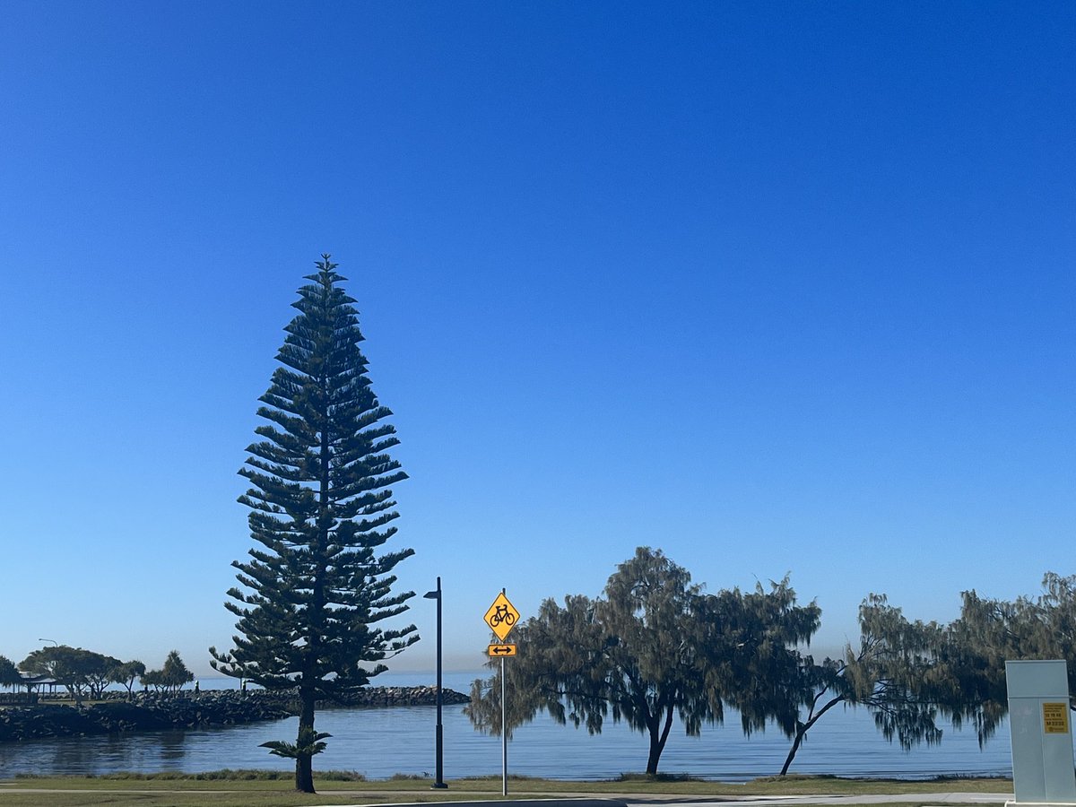 Andy Teodorczuk tweet media