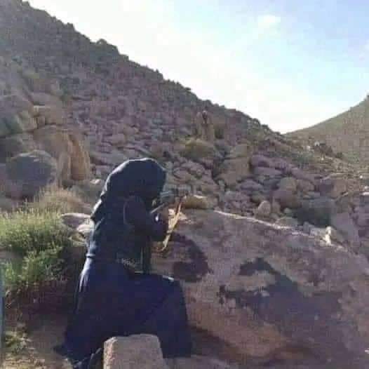Barsam Ariyaee | برسام آریایی tweet media
