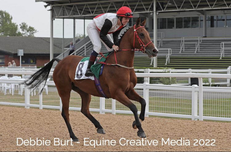 ARO_Racing's tweet photo. #nonrunner 1.10pm @Chepstow_Racing #11 MULAN @ToteRacing @RacingPost @SportingLife @SkySportsRacing @ArabianRH @EquineMediRec @amajox https://t.co/3sdRVWEEcC