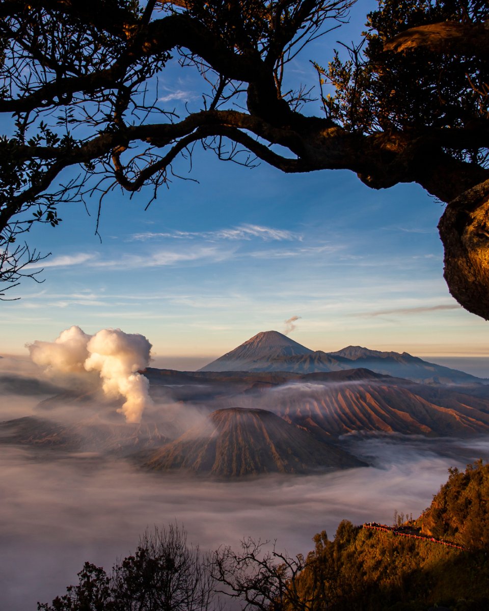 wonderfulid's tweet image. Never skip a leg day. Let’s go trekking!
📍Bromo Tengger Semeru National Park
#WonderfulIndonesia