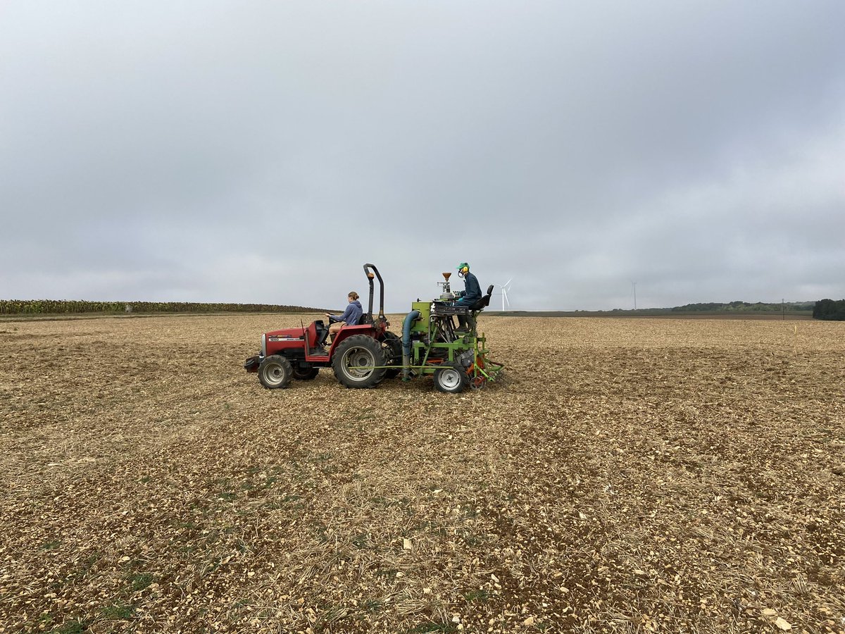 Semis ce jour avec Cerexpro de notre essai variétés de colza réseau étamines