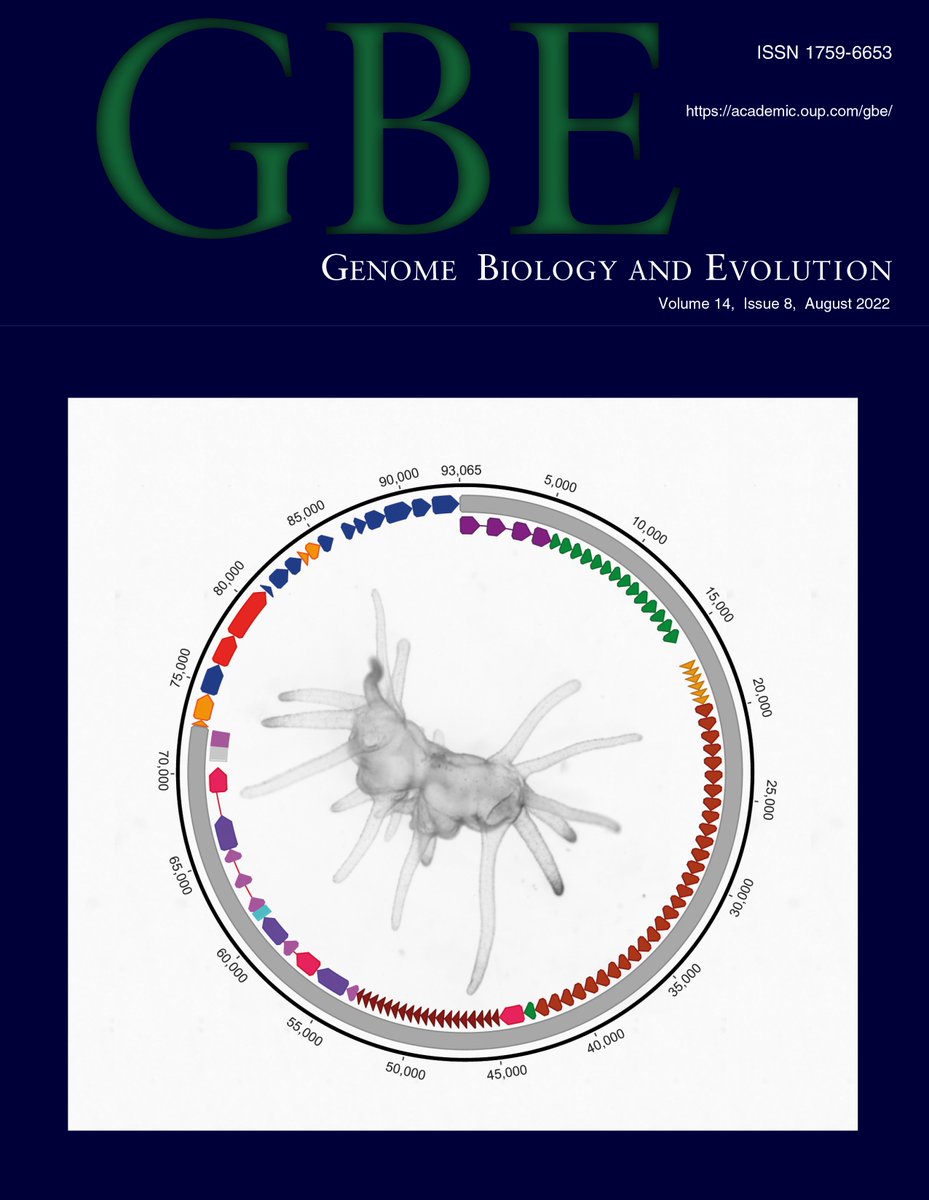 Dorothée Huchon (@dorotheehuchon) on Twitter photo Polypodium is such a poster boy! It is on the August cover of <a href="/GenomeBiolEvol/">GBE (Genome Biology and Evolution)</a>.
<a href="/IvanFiala7/">Ivan Fiala</a> <a href="/esallychang/">E. Sally Chang, PhD</a> <a href="/pcart/">Paulyn Cartwright</a> <a href="/marianovosolov/">Maria Novosolov</a> Polypodium is such a poster boy! It is on the August cover of <a href="/GenomeBiolEvol/">GBE (Genome Biology and Evolution)</a>.
<a href="/IvanFiala7/">Ivan Fiala</a> <a href="/esallychang/">E. Sally Chang, PhD</a> <a href="/pcart/">Paulyn Cartwright</a> <a href="/marianovosolov/">Maria Novosolov</a>