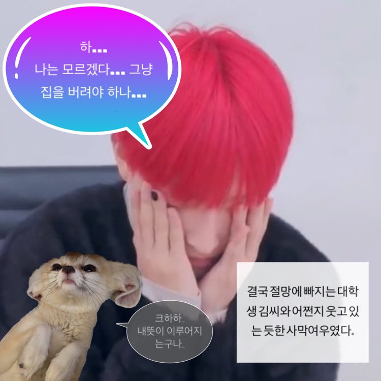 ThrillShock999's tweet photo. 대학생과 사막여우 https://t.co/uprY6nxZiT
