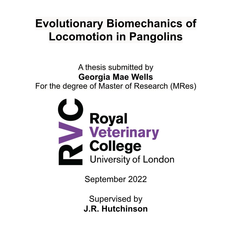 Georgia_M_Wells's tweet photo. Completing my thesis on a random Thursday 💜🖤 

Proud of my work and it’s been a privilege to be supervised by @JohnRHutchinson at @RoyalVetCollege 

Time for a little break before defending my research in my viva! https://t.co/NyKT0zPc29