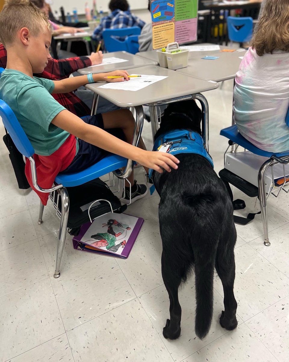 FSSDTobin's tweet photo. Today, I went to Mr. Proutyβs fifth grade Math class and learned how to evaluate and write expressions using parentheses. I learned a lot and helped my friends focus.
#fssdtherapydogpack #fistobin #mathdog https://t.co/0nA8FfuZ15