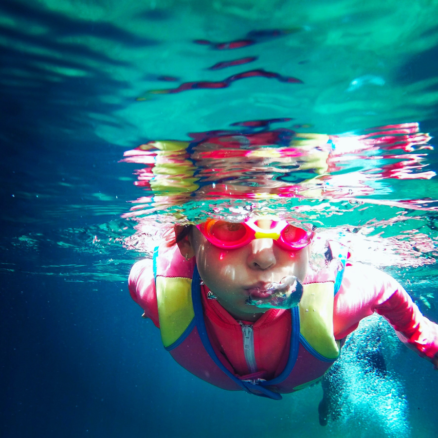 VilleRimouski's tweet image. Communiqué - Lancement des inscriptions pour les activités automnales au complexe sportif Desjardins - bit.ly/3AwyGlF