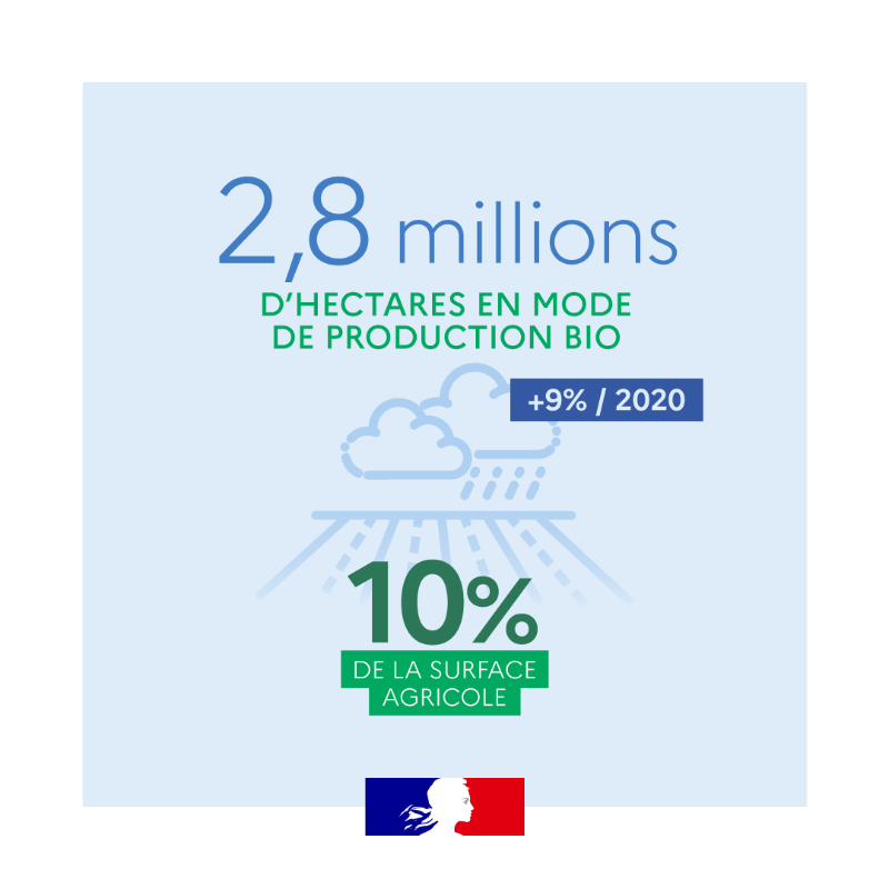 Agri_Gouv's tweet photo. Aujourd'hui, plus de 58 000 exploitations françaises sont engagées en #bio 🍏 Découvrez les #ChiffresClés 🗝 de l'agriculture biologique dans votre #JeudiInfographie ⬇