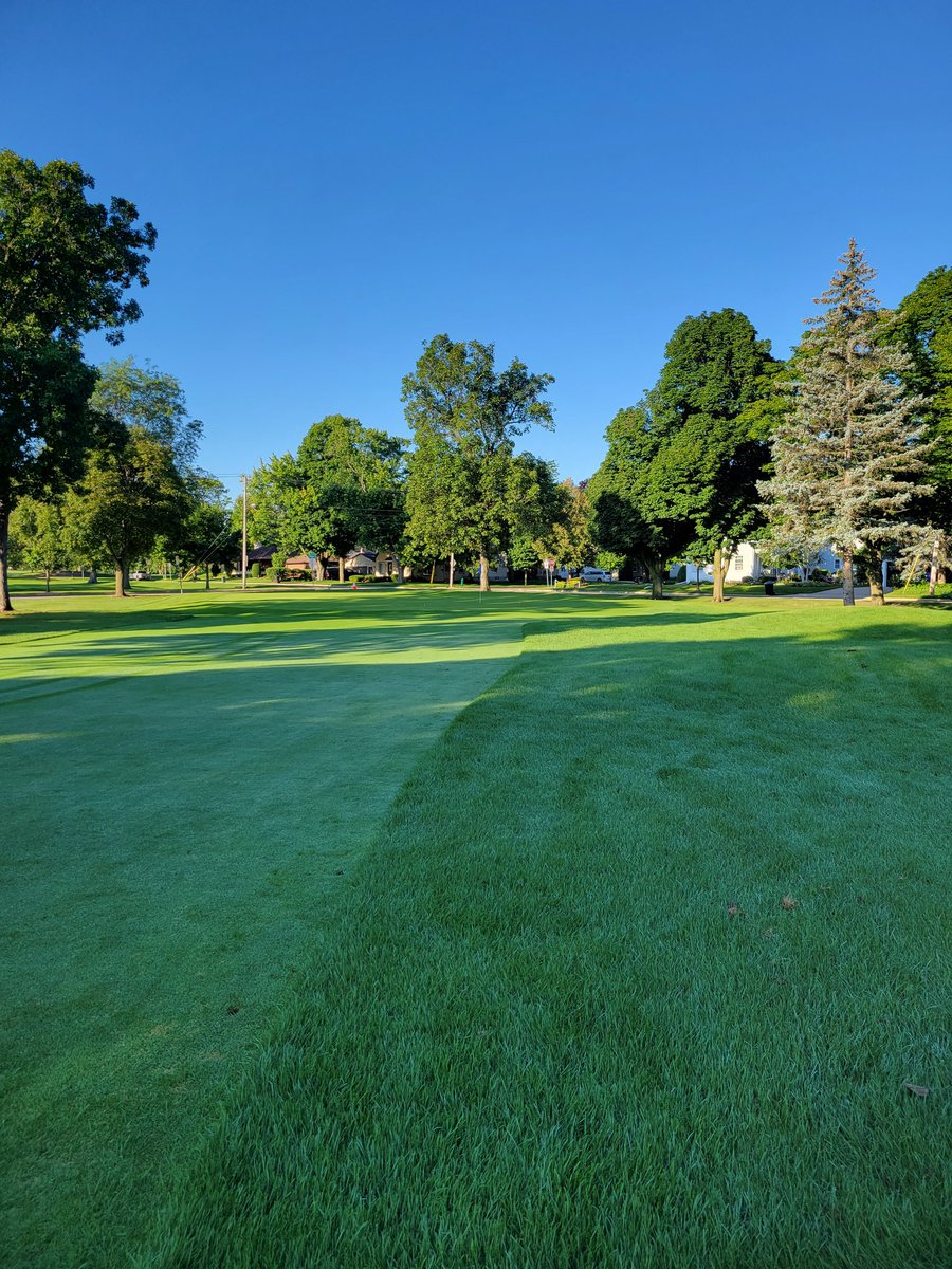 Rough certainly has perked up after some rain