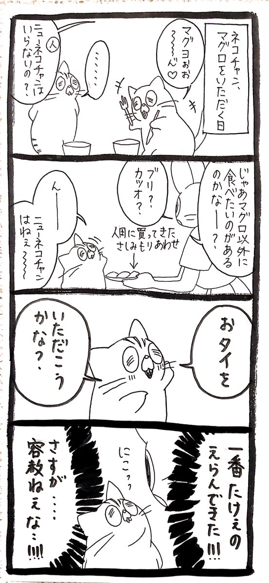 【ネコチャン】人には容赦しない 