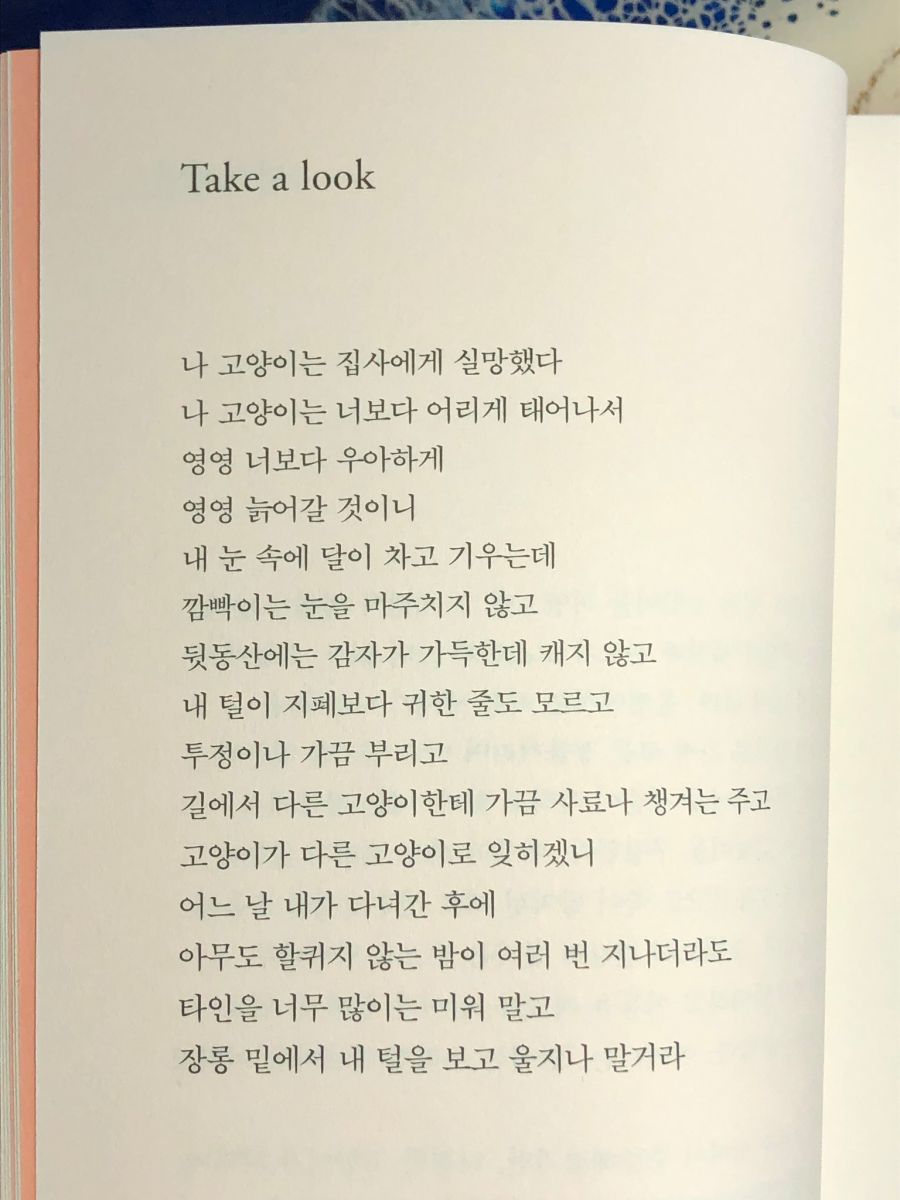 라기 (@discipli_narian) on Twitter photo 