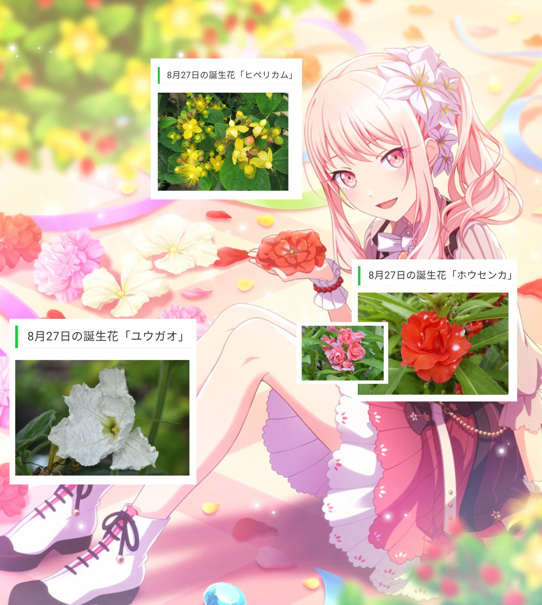 8月27日の誕生花 ホウセンカ 私に触れないで 短気 Ardent Love ユウガオ 夜 はかない恋 罪 ヒペリカム きらめき 悲しみは続かない T Co 9ajw33nic9 Twitter