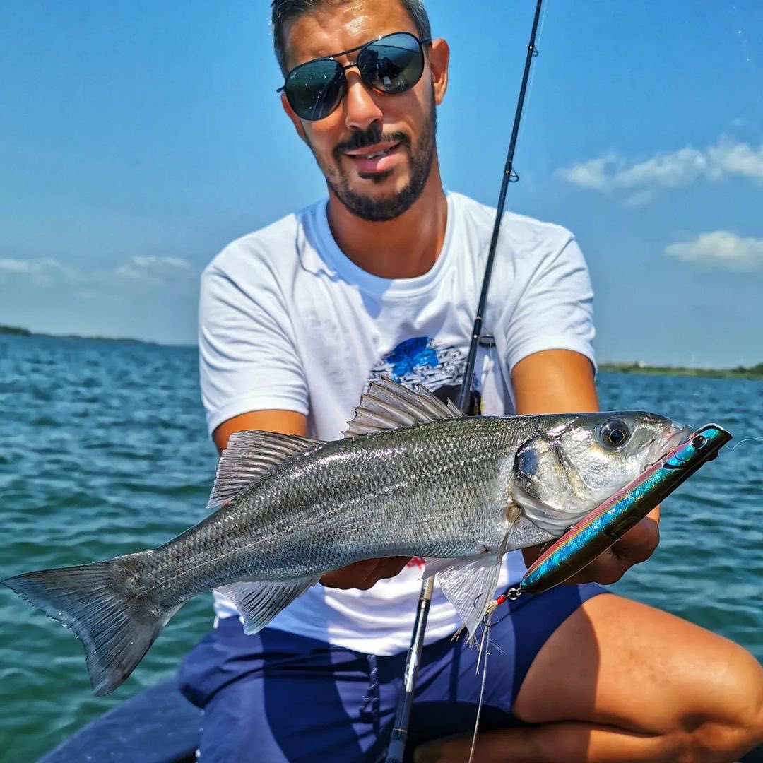 Optimum Baits tweet media