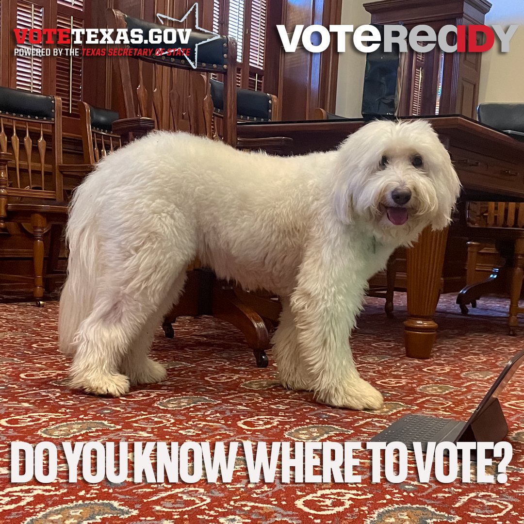 Dolly knows where to find her polling location. Do you? Find out where you can vote here: bit.ly/3Swdh2K  #VoteReady #VoteTexas
