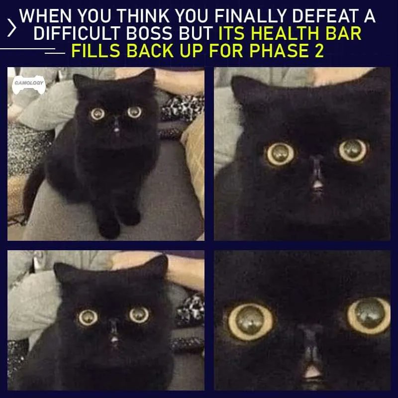 VoodooPlague's tweet photo. That feeling when your stomach drops, and your soul almost leaves your body 🤣
Almost to the weekend!
#memes #videogamememes #videogameyoutuber #videogames #voodooplaguegaming #videogamewalkthrough https://t.co/3SLPAWczZO