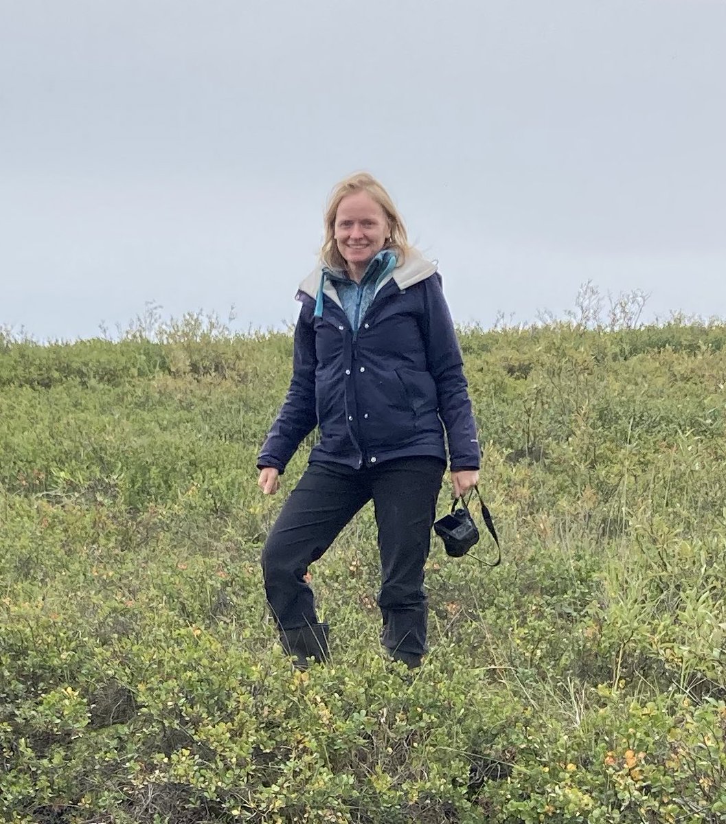 Palaeothaw tweet media