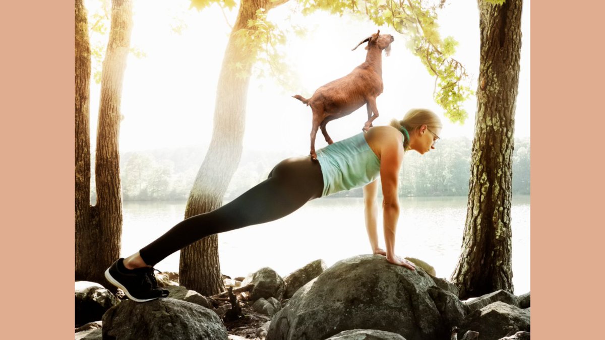 briancurrylies's tweet photo. If you're looking for a fun and unique way to improve your physical and mental wellbeing, goat yoga is the perfect activity for you! 🐐 https://t.co/VCBfaXnqjs

#dcdatenight #dclife #dcarea #yoga https://t.co/S6vbBfW2lZ