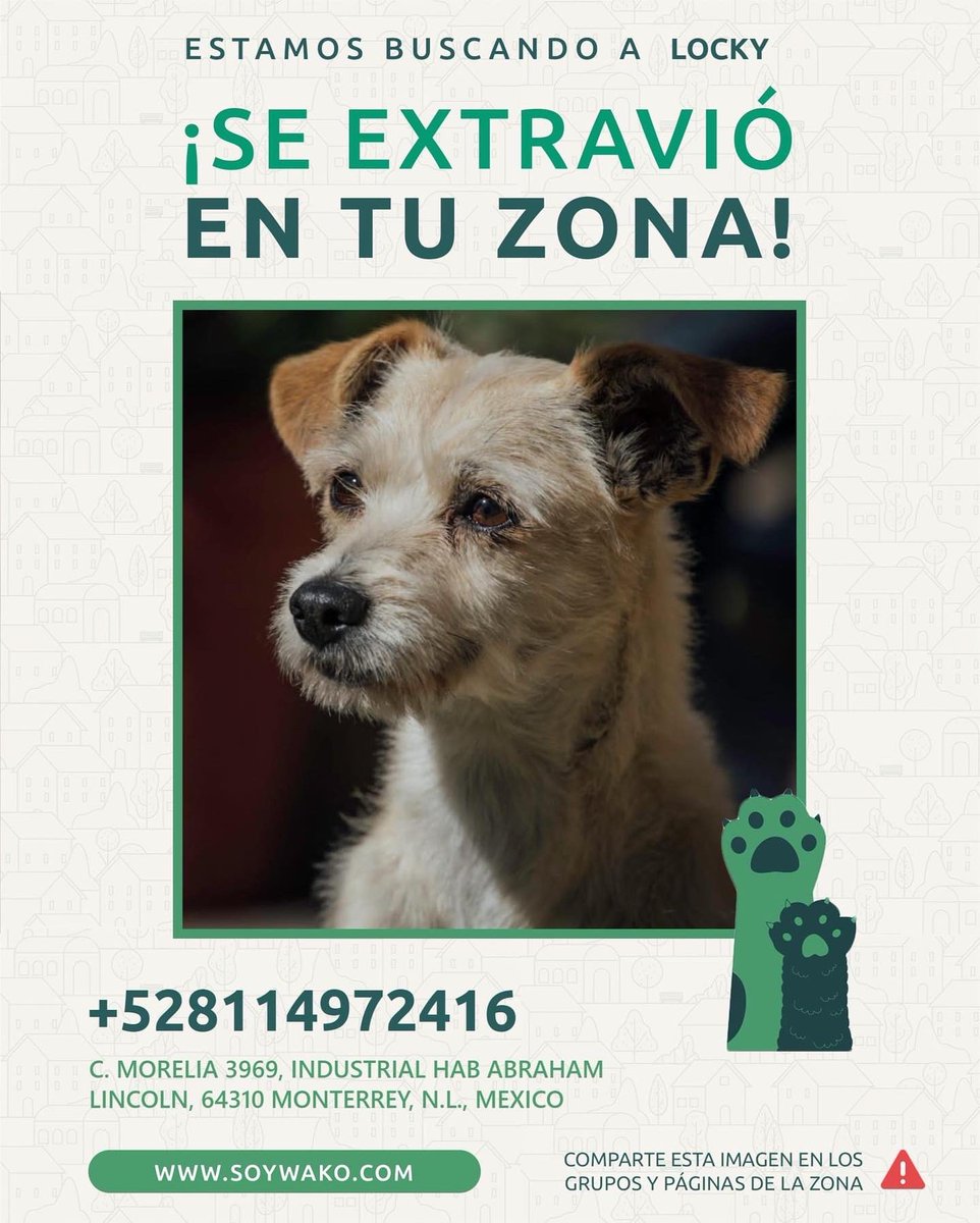 ivetitagarcia's tweet photo. Ayúdanos a compartir 🆘 LOCKY! https://t.co/4Yf7SUSxRf