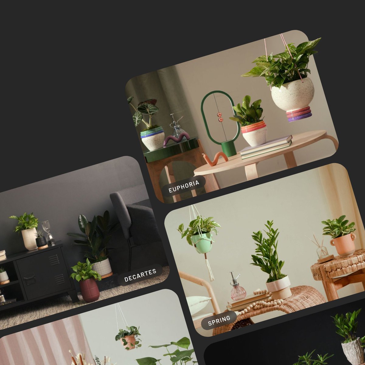 We're honored to have worked with <a href="/_LiveTrends_/">LiveTrends Design</a>  to give their family of brands their own space to bloom with a brand spankin' new website. We couldn't be more excited to share the results with you! livetrends.com 🪴 #ecommercewebsite