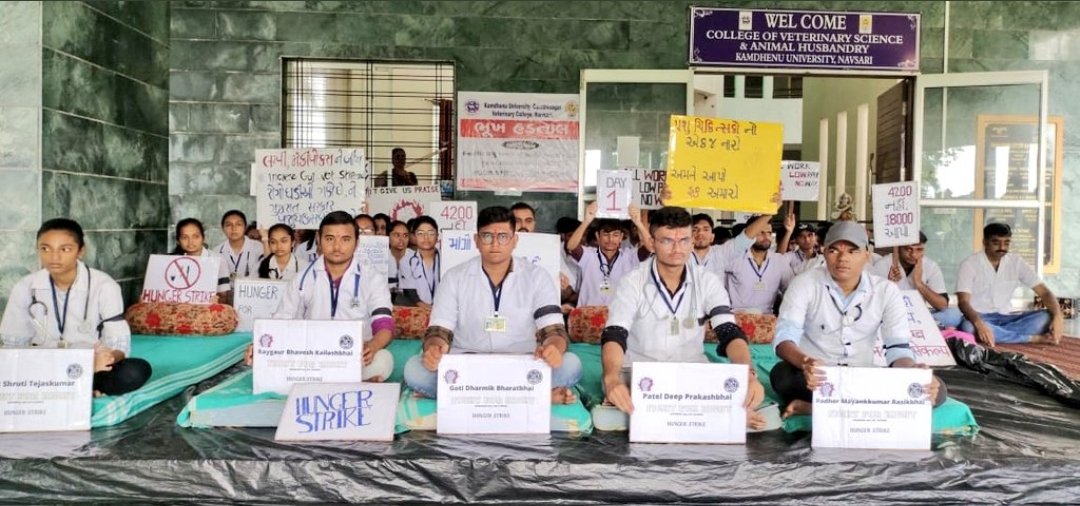 Khilan960's tweet photo. As government doesn't give written notification till now so after 16 days of hardship on strike now we shift to a more severe form of strike "Hunger Strike" with 5 warriors!! We will continue strike until government will give written notification..  @CMOGuj @KanuDesai180 https://t.co/AjVSJdRxCy