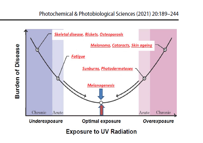EstebanDL's tweet photo. Extensa revisión sobre protectores solares, melanoma y cáncer no melanoma

¿Protector solar para evitar melanoma?
Poca evidencia

Lo mejor EXPOSICIÓN INTELIGENTE al sol, acorde a tipo de piel, hora del día y latitud

Evitar Quemaduras

https://t.co/Qf4l0WXH9D https://t.co/eYiWDYj7QJ