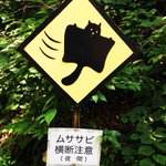 世界に２枚だけ!軽井沢の珍しい標識!