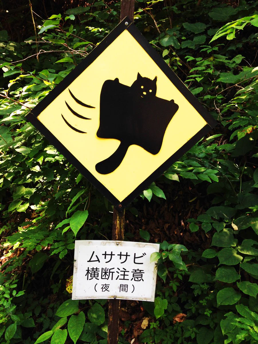 世界に２枚だけ！軽井沢の珍しい標識！