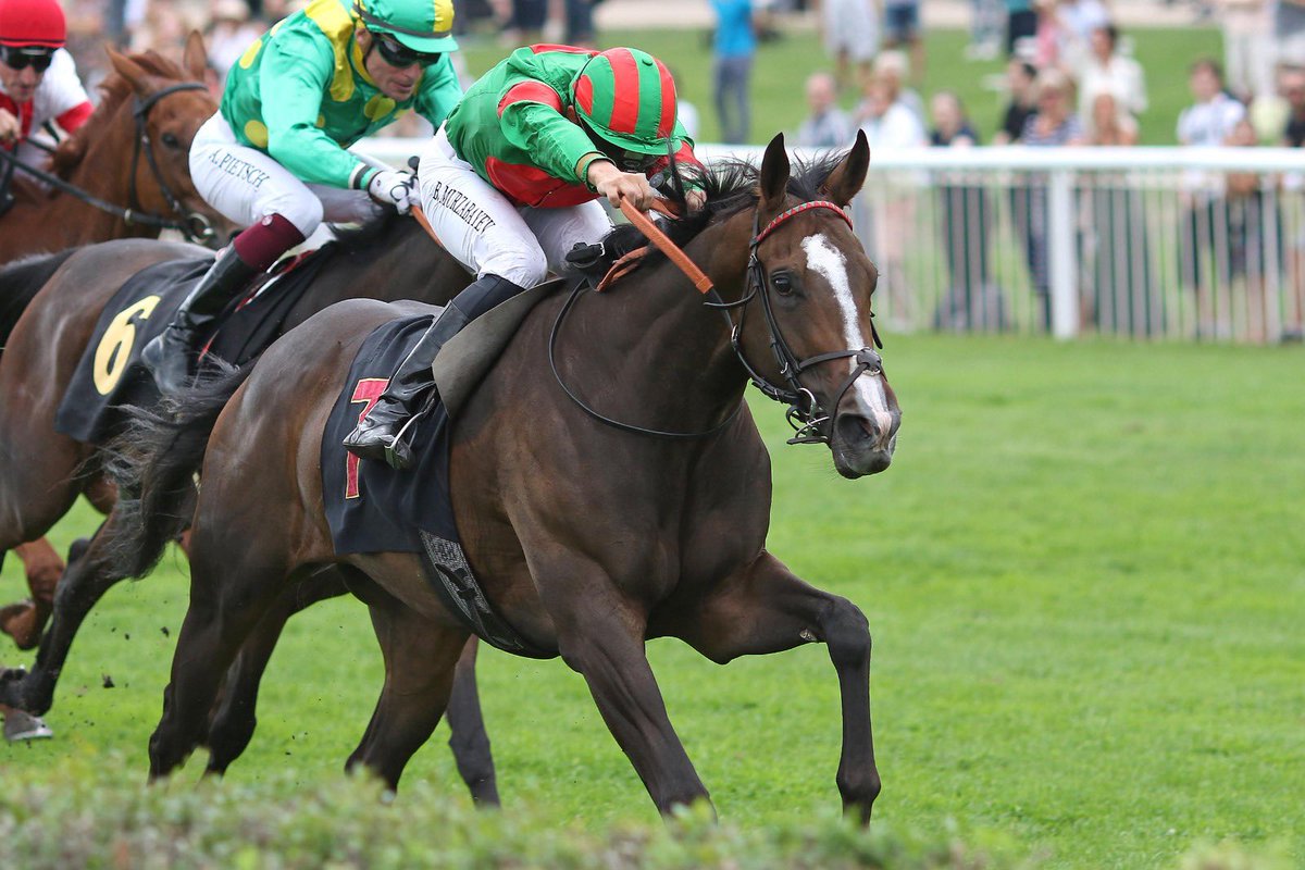 #ThrowbackThursday

Ein absolutes Top-Wochenende liegt hinter uns – 200 Jahre Deutscher Galopp 🏇🏽🎂 

Mit über 15.000 Fans, Spitzensport, internationalen Gästen und vielen Attraktionen war das JUBILÄUMSMEETING ein Spektakel 🥳

Vielen Dank an alle Beteiligten!