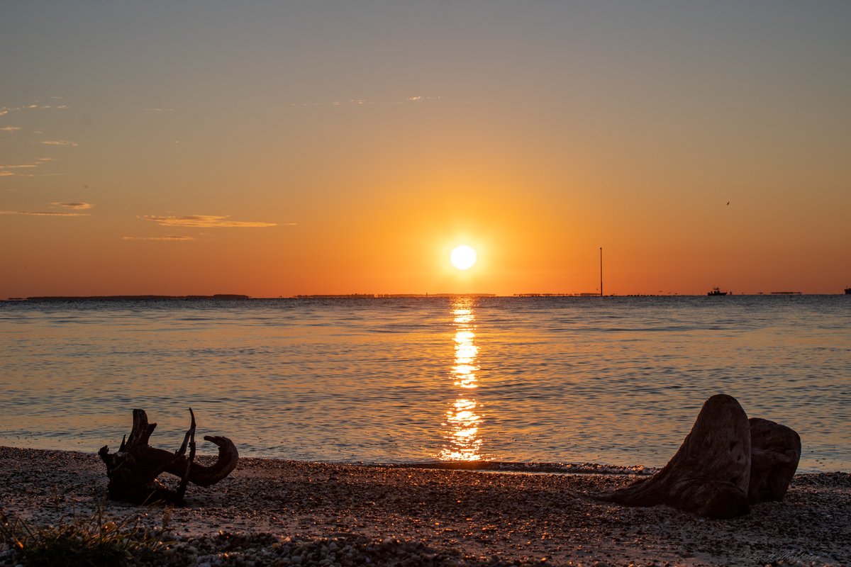 scottmcquinn1's tweet image. Cool and Calm on the Bay. A nice 64 degrees and Sunny👍Enjoy this weather💯 @TuckerFox5 @ErinFox5DC @ClaireFox5DC @fox5dc @foxweather @SOMDWxNews
