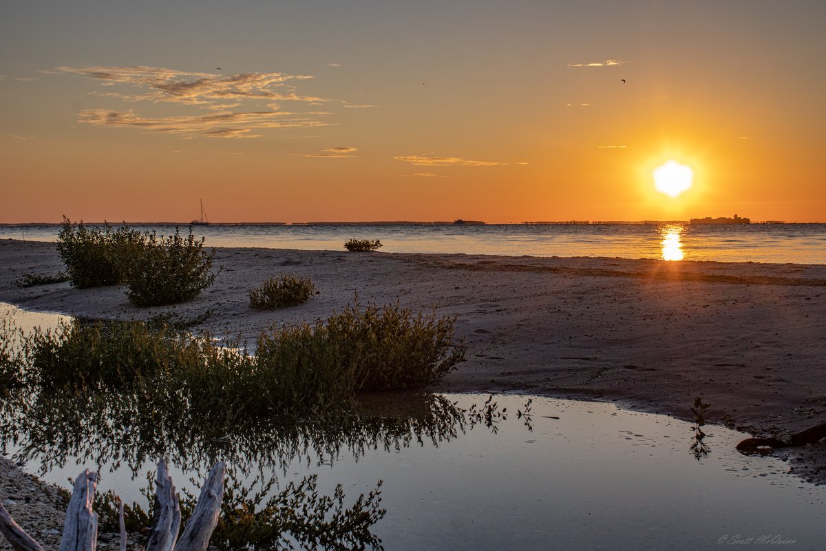 scottmcquinn1's tweet image. Cool and Calm on the Bay. A nice 64 degrees and Sunny👍Enjoy this weather💯 @TuckerFox5 @ErinFox5DC @ClaireFox5DC @fox5dc @foxweather @SOMDWxNews