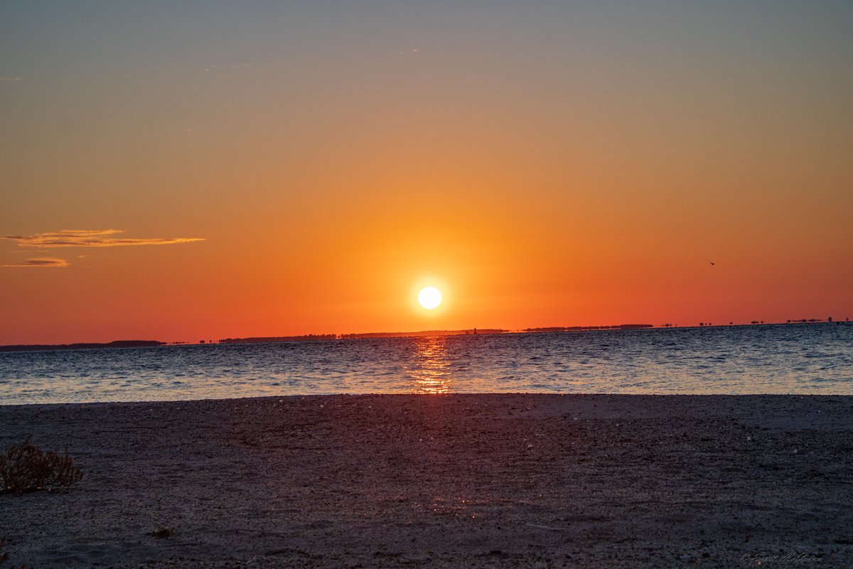 scottmcquinn1's tweet image. Cool and Calm on the Bay. A nice 64 degrees and Sunny👍Enjoy this weather💯 @TuckerFox5 @ErinFox5DC @ClaireFox5DC @fox5dc @foxweather @SOMDWxNews