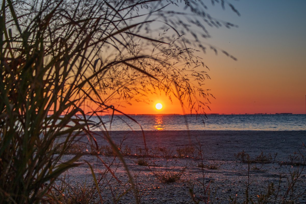 scottmcquinn1's tweet image. Cool and Calm on the Bay. A nice 64 degrees and Sunny👍Enjoy this weather💯 @TuckerFox5 @ErinFox5DC @ClaireFox5DC @fox5dc @foxweather @SOMDWxNews