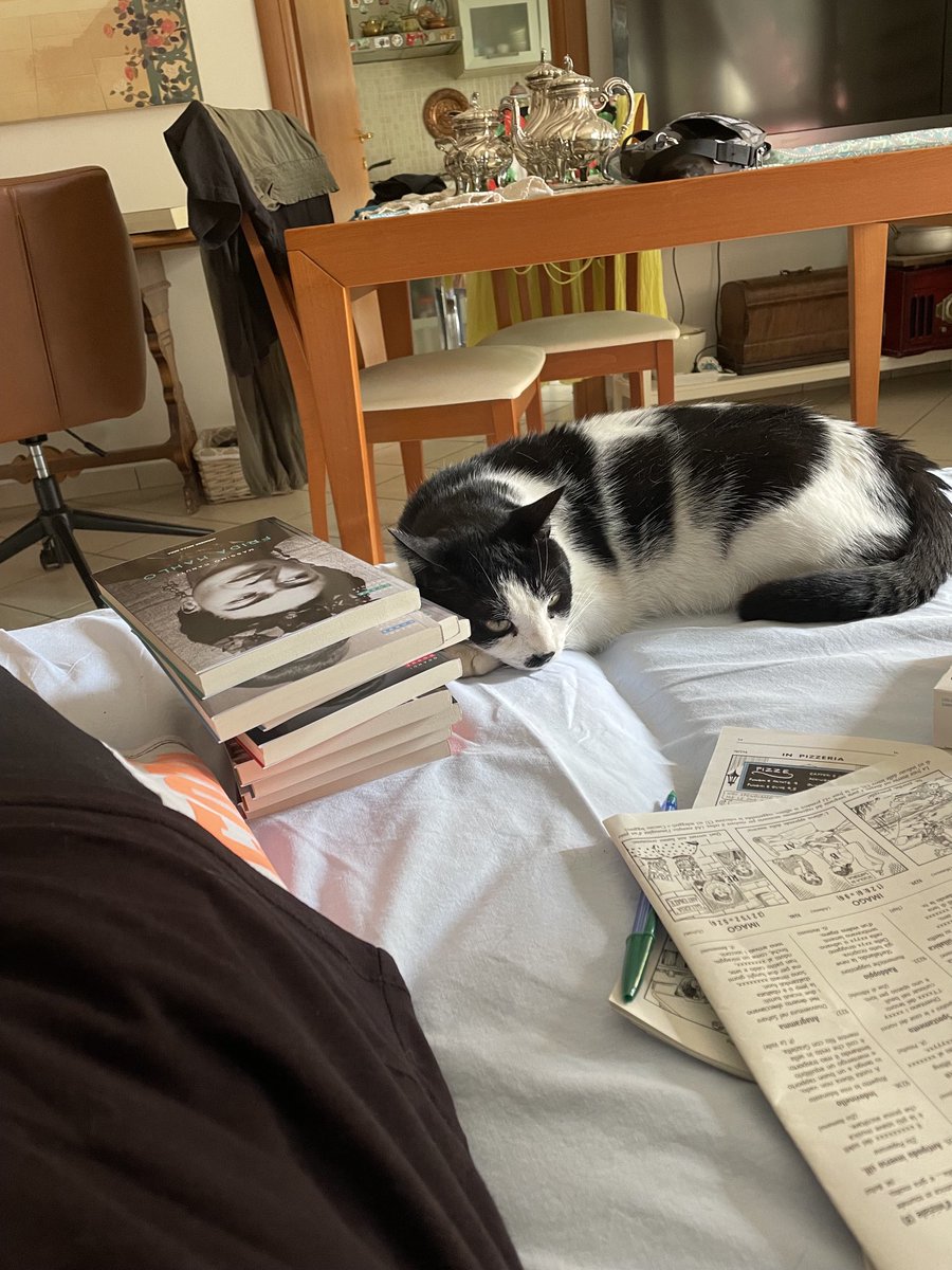 fdemi59's tweet photo. Floki gatto speciale 
E un po’ intellettuale https://t.co/gNFoZefLwR