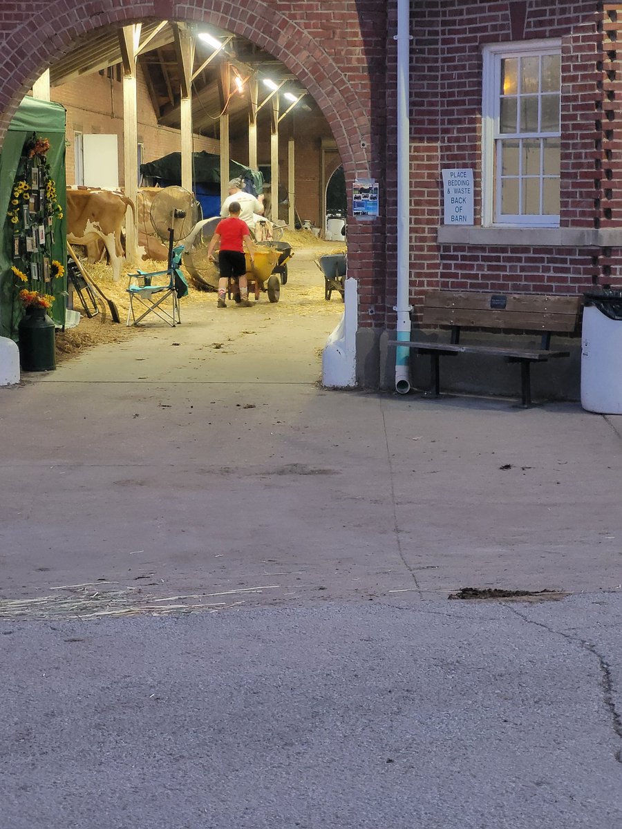 Chris Chinn (@chrischinn) on Twitter photo The #dairy barns are busy this morning as usual! These kids are working hard to care for their cattle and get the morning milking done. Stop by and visit these barns while you're at the <a href="/MoStateFair/">Missouri State Fair</a>. #bucketsoffun The #dairy barns are busy this morning as usual! These kids are working hard to care for their cattle and get the morning milking done. Stop by and visit these barns while you're at the <a href="/MoStateFair/">Missouri State Fair</a>. #bucketsoffun