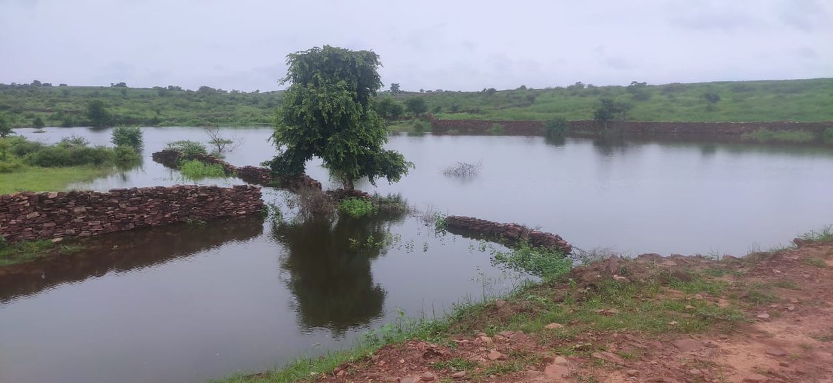 WOTRIndia's tweet photo. Glimpses of recently constructed Pokhars in Karauli, Rajasthan under the 'Climate Resilient Agriculture supported with Land and Water Management' project supported by #YESFoundation.
#resilientcommunities #CSRinitiative #catchtherain https://t.co/CGoK5DuTVM