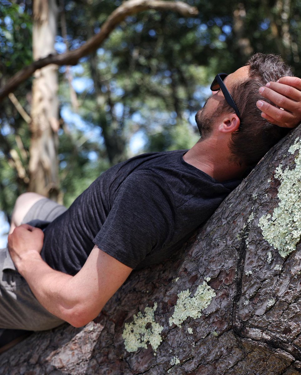 SailingUma's tweet photo. Sometimes all you need is a nice tree to recharge your batteries! 
.
.
#sailinguma #treenap #naptime https://t.co/nuUC26AogB