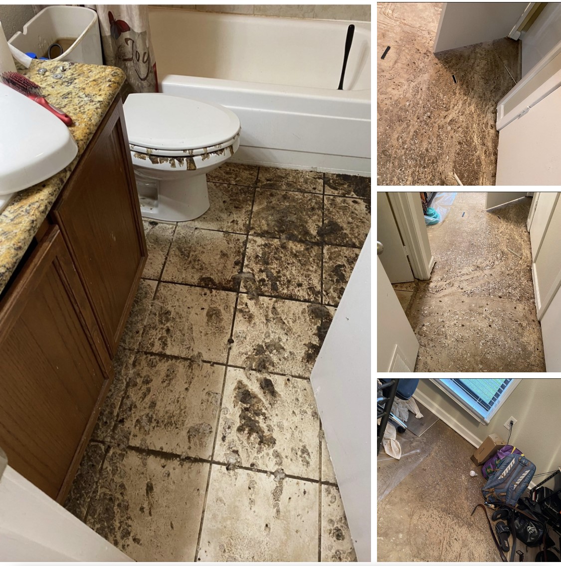 americanplbgla's tweet image. While there&apos;s no party like a fecal party, the cleanup REALLY STINKS!
Call American Plumbing for all or your plumbing repair needs!
#slableak / #videopipeinspection / #backflowcertification / #AllLivesMatter / #onlycountlegalvotes / #HappySunday / #TruthSocial / #@tjoetheplumber