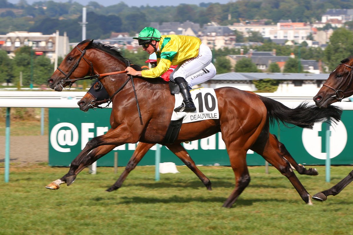 Le Prix de Montaigu (Inédits) est revenu à FAIS NOUS PLAISIR (Birchwood @Huderie ). C'est l'entraînement de Joël Boisnard. Présenté par le haras d'Haspel, il avait été vendu 15.000 € à la vente de yearlings d'octobre @InfoArqana . 📸@ScoopDyga