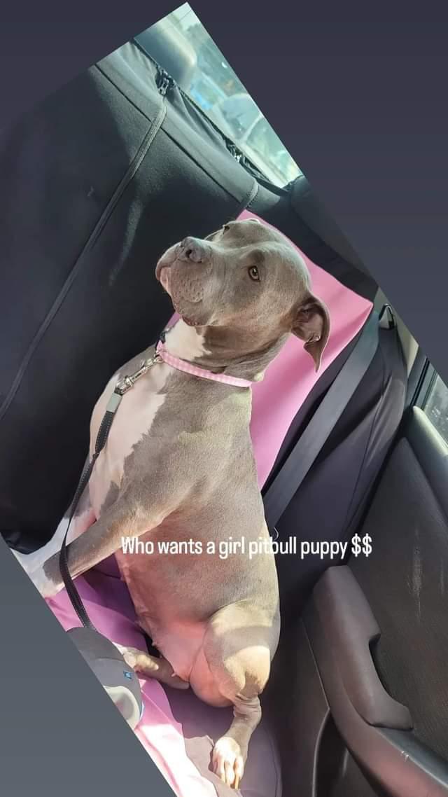 NohellSav's tweet image. 265-300 make a offer help her