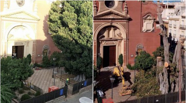 Ausencias y permanencias.
(Fotos de la cuenta <a href="/HuellasSevilla/">SevillaBajoTusPies</a>)