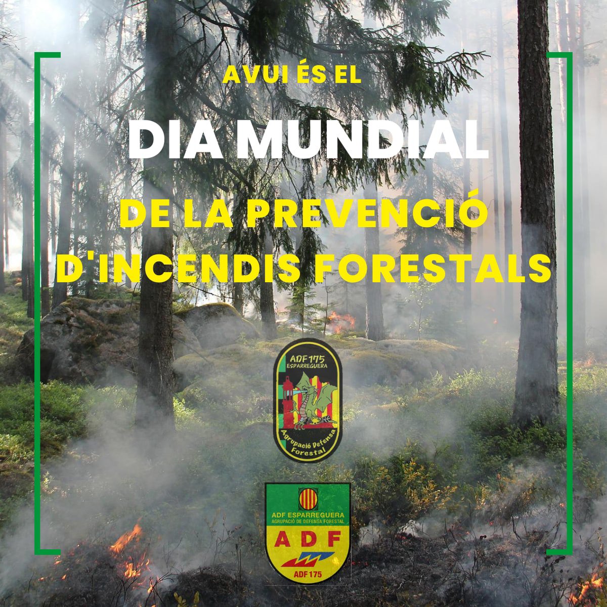 #incendisforestals #prevenció @sfadfcat @dibacat @esparreguera @estelsafety @fadfbllobregat @bomberscatalunya @orti_emmanuel @eduardrivas #esparreguera