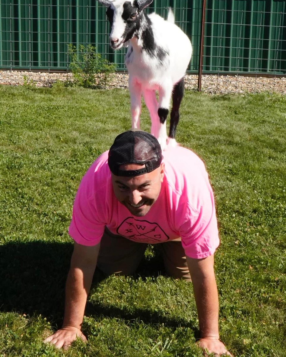 WSD—The Pride tweet media